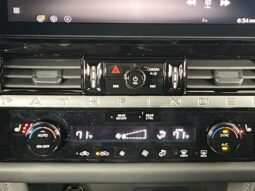 
 Nissan Pathfinder full									