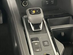 
 Nissan Pathfinder full									