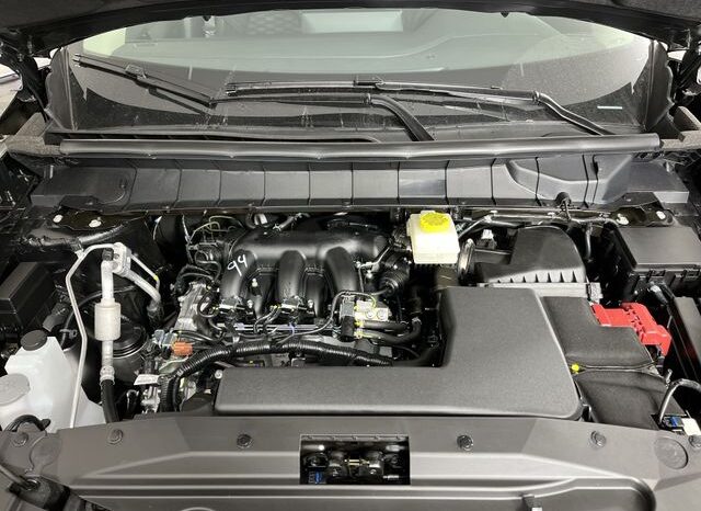 
 Nissan Pathfinder full									