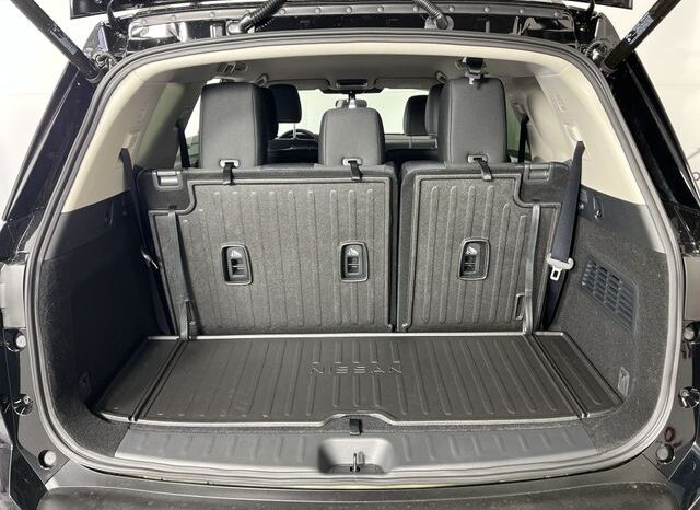 
 Nissan Pathfinder full									