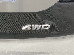 
 Nissan Pathfinder full									