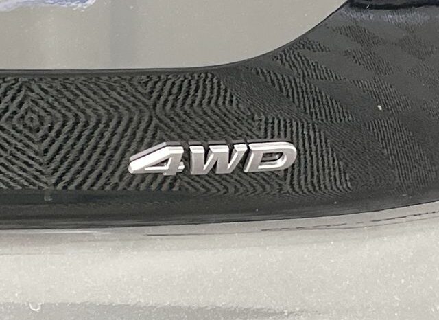 
 Nissan Pathfinder full									