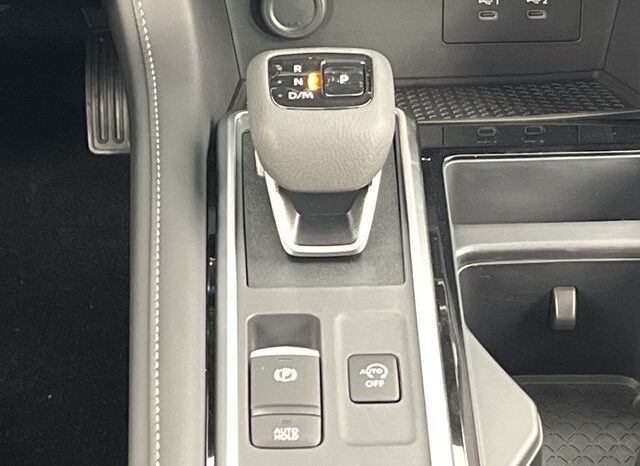 
 Nissan Pathfinder full									