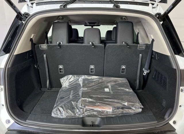 
 Nissan Pathfinder full									