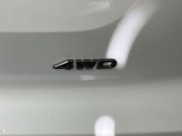 Nissan Pathfinder full