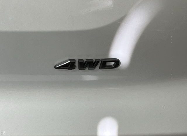 
 Nissan Pathfinder full									