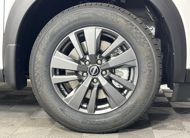 
 Nissan Pathfinder full									