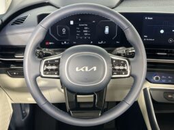 
 Kia Carnival full									