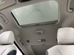 
 Kia Carnival full									