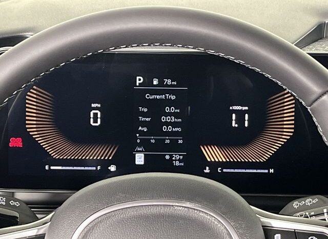 
 Kia Carnival full									