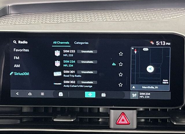 
 Kia Carnival full									