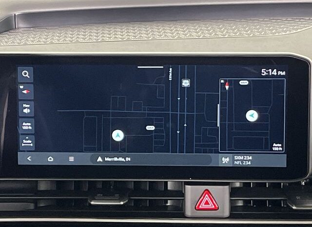 
 Kia Carnival full									