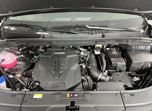 
 Kia Carnival full									