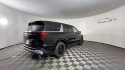 
 Kia Carnival full									