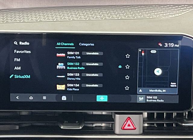 
 Kia Carnival Hybrid full									