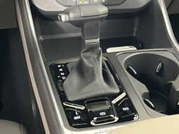 
 Kia Carnival Hybrid full									