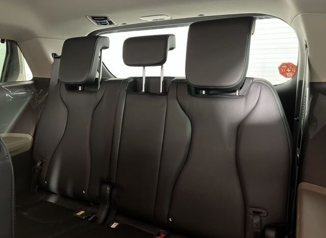 
 Kia Carnival Hybrid full									