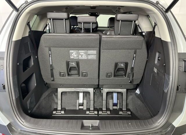 
 Kia Carnival Hybrid full									