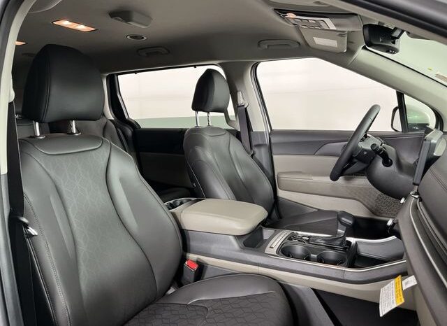 
 Kia Carnival Hybrid full									