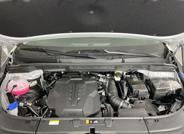 
 Kia Carnival Hybrid full									