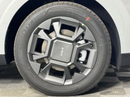 
 Kia Carnival Hybrid full									