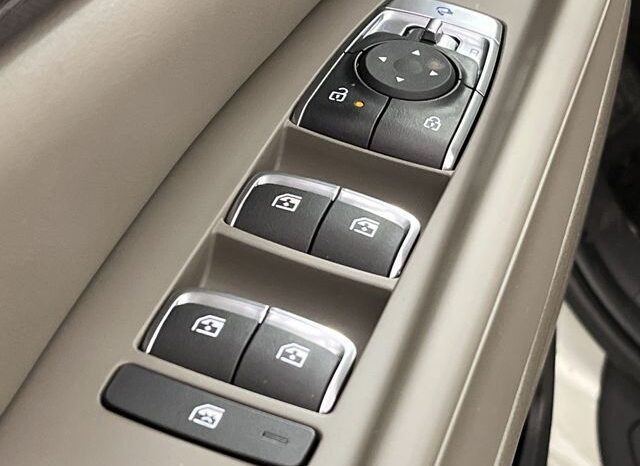 
 Kia Carnival Hybrid full									