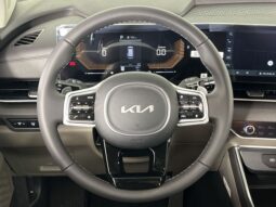 
 Kia Carnival Hybrid full									