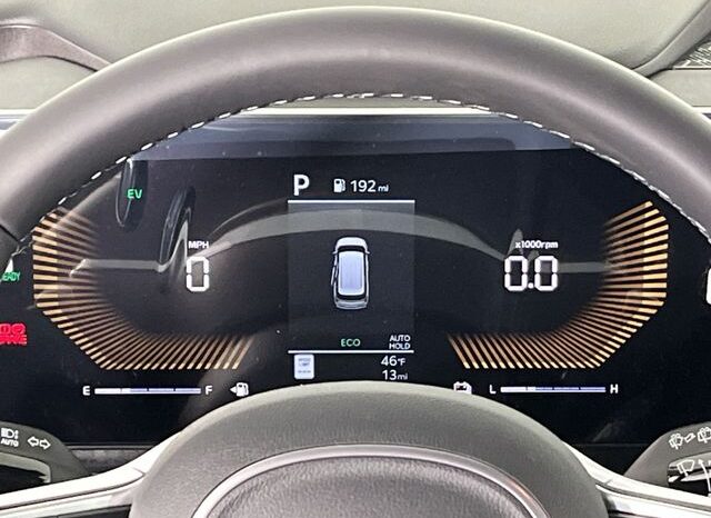 
 Kia Carnival Hybrid full									