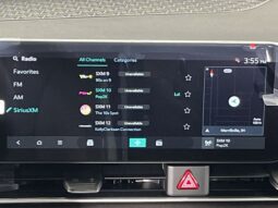 
 Kia Carnival Hybrid full									