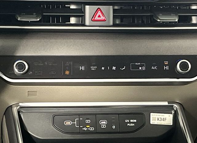
 Kia Carnival Hybrid full									