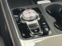 
 Kia Carnival Hybrid full									