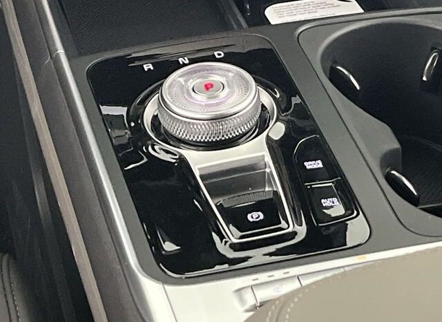 
 Kia Carnival Hybrid full									