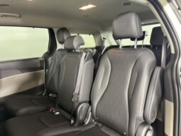
 Kia Carnival Hybrid full									