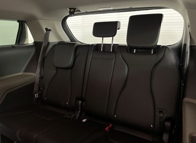 
 Kia Carnival Hybrid full									