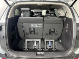 
 Kia Carnival Hybrid full									