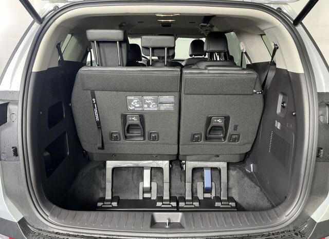 
 Kia Carnival Hybrid full									