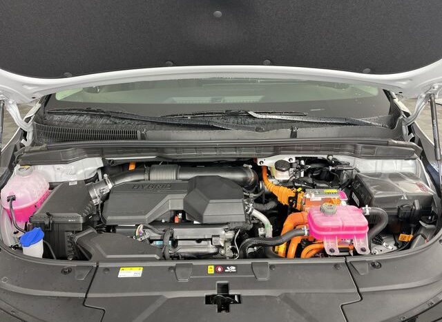 
 Kia Carnival Hybrid full									