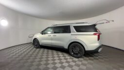 
 Kia Carnival Hybrid full									