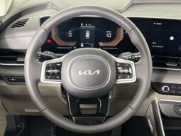 
 Kia Carnival full									