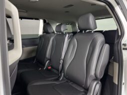 
 Kia Carnival full									