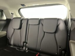
 Kia Carnival full									