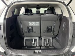 
 Kia Carnival full									