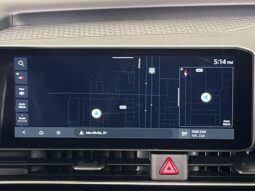 
 Kia Carnival full									