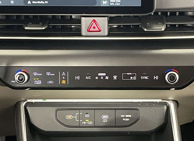 
 Kia Carnival full									