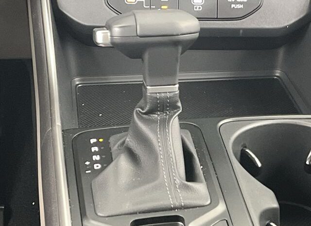 
 Kia Carnival full									