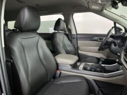 
 Kia Carnival full									