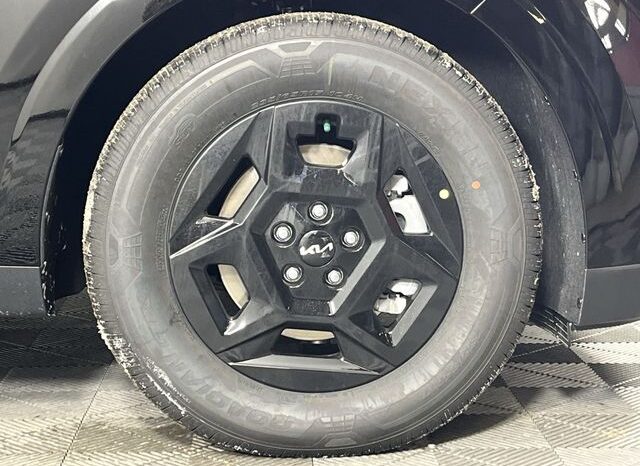 
 Kia Carnival full									