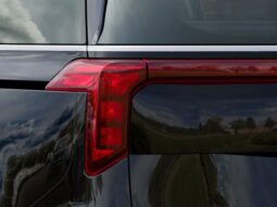 
 Kia Carnival Hybrid full									