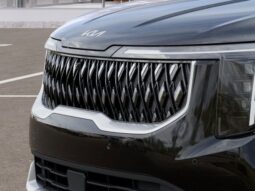 
 Kia Carnival Hybrid full									