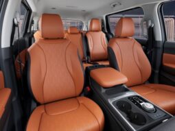 
 Kia Carnival Hybrid full									